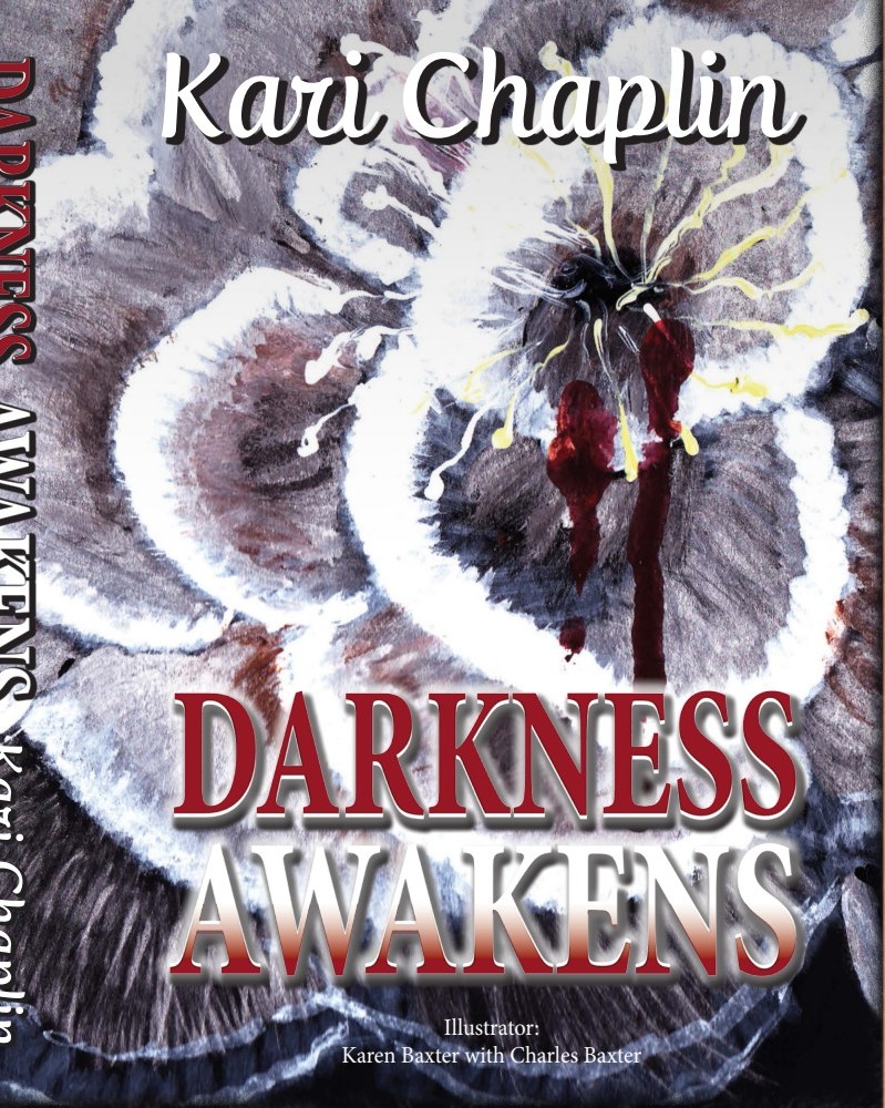 Professional Upgrade cover of Darkness Awakens