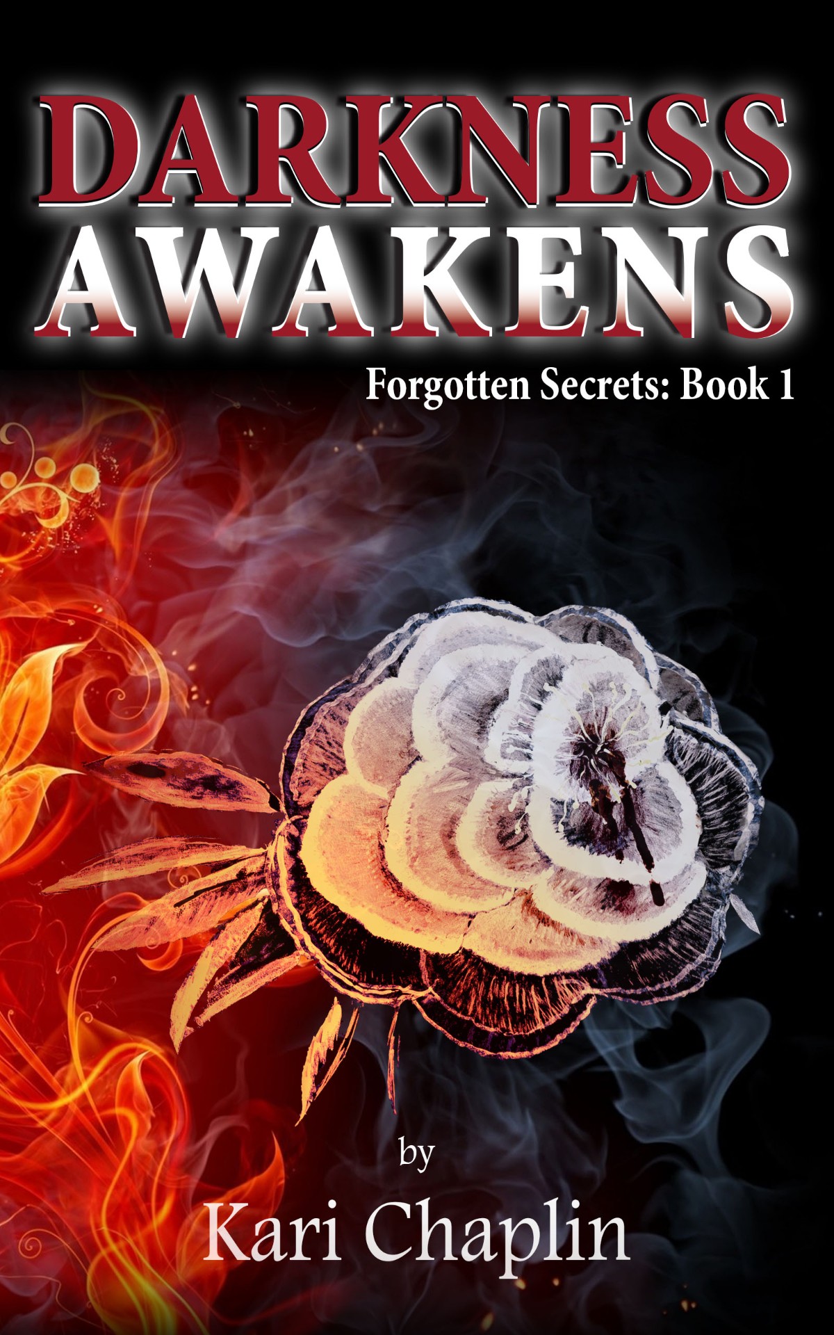 I Thought It Was the Final Series Cover of Darkness Awakens